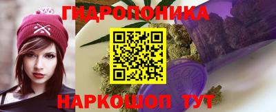 jwh Будённовск